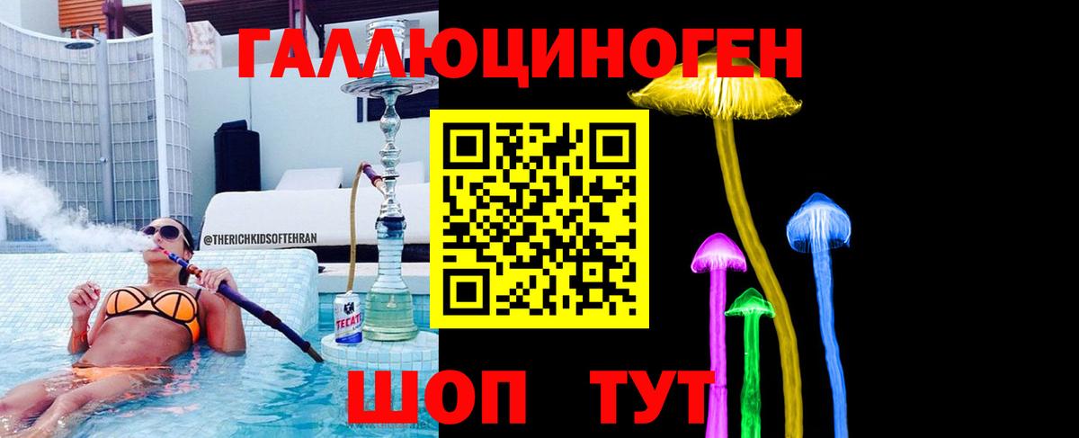 Тосно  Псилоцибиновые грибы прущие грибы  Вход с VPN 